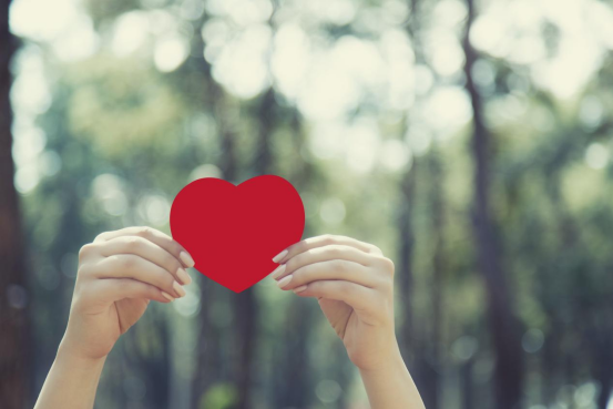 1757928107710545.png image.png