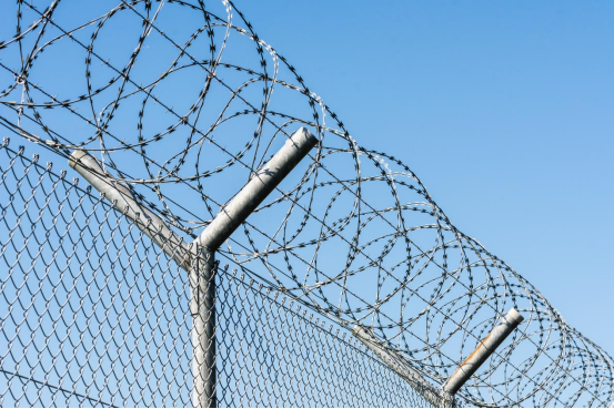 1775636219168314.png image.png